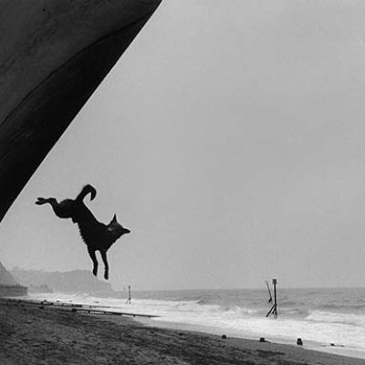 The Joy of Flight - Teignmouth, 2000